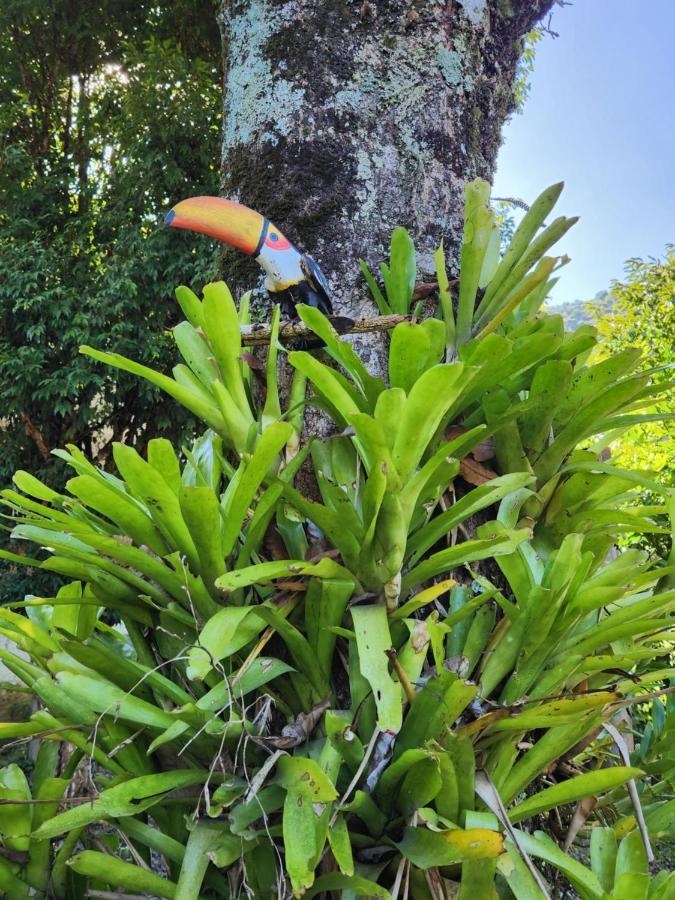 Hospedaria E Camping Quintal Do Mundo Lumiar Eksteriør billede