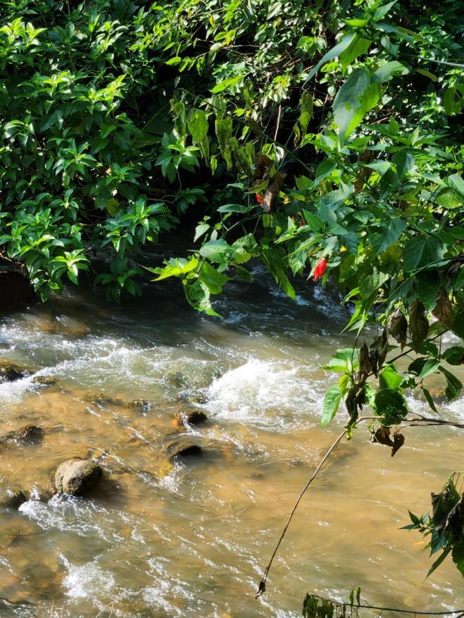 Hospedaria E Camping Quintal Do Mundo Lumiar Eksteriør billede