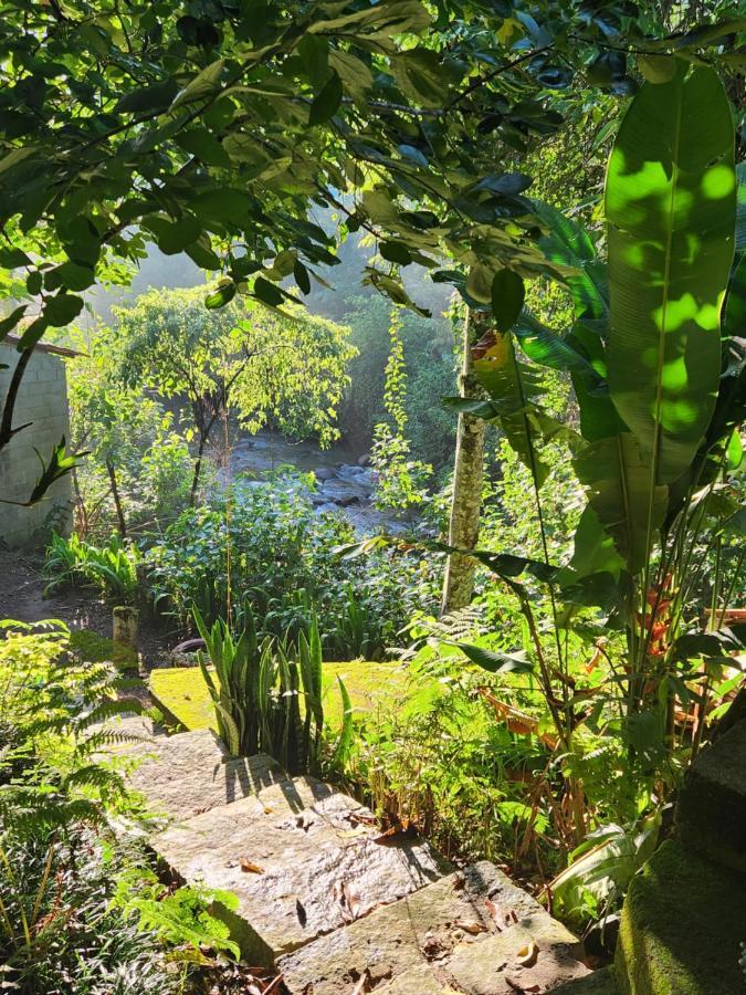 Hospedaria E Camping Quintal Do Mundo Lumiar Eksteriør billede
